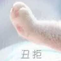 牵宝宝的手丑拒表情包(牵宝宝的手猫爪系列图)V2016 完整版