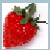 红草莓屏幕录制(屏幕录制工具)V2.1.1 绿色免费版