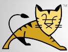 Apache Tomcat(jsp服务器搭建)V6.0.58 多国语言版