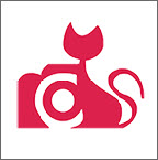 咔嚓猫安卓版(约拍摄影平台)V1.0.2 免费版