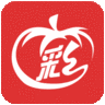 西红柿计划免费最新版-西红柿计划客户端安卓版 V1.6.3 正式版