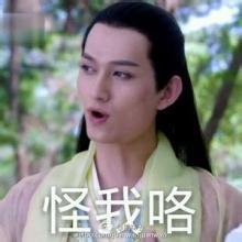 赵丽颖花千骨QQ表情包带字(花千骨qq表情大全)+60 最新版