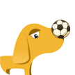板凳足球app(足球管理app)V2.5.7 安卓版