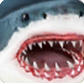模拟鲨鱼V1.0.4