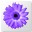 Artweaver free(绘画编辑工具)V7.0.7 最新版