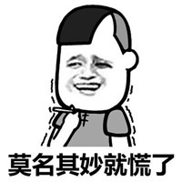 莫名其妙就慌了表情包中文版