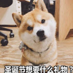 2018圣诞节要礼物表情包(2018圣诞节要礼物表情组图) 高清版