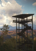 猎人荒野的呼唤修改器(猎人荒野的呼唤十一项修改器)V1.21 绿色免费版