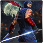 忍者战争主免除谷歌框架版(Ninja War Lord)V1.4 安卓英文版