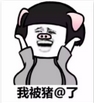 我被猪艾特了表情包(我被猪艾特了图片)V2017 高清版