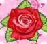 时尚绚丽的玫瑰花装饰笔刷(玫瑰花PS笔刷) 汉化免费版
