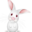 大白兔店铺助手下载(商品管理系统软件)V2.9.7 去广告版