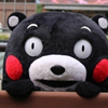 熊本熊之儿童节表情包(儿童节搞笑qq表情) 中文