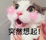 猫咪突然想起表情包(猫咪图片)V2017 无水印版