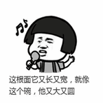这个面又长又宽这个碗又大又圆表情包大全(搞笑表情包) 中文版
