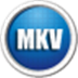 闪电mkv avi转换器(MKV AVI视频转换工具)V11.8.6 
