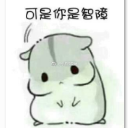 小仓鼠卖了你买糖吃qq表情包(小仓鼠卖了你买糖吃表情