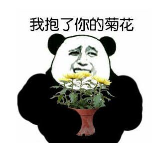 我抱了你的菊花表情包(我抱了你的菊花表情图片合集) 绿色版