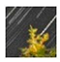 Startrails(星轨合成工具)V2.4 绿色版