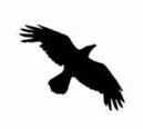 Data Crow(多媒体文件管理系统软件)V4.2.3 中文版