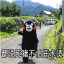 都说死猪不怕开水烫表情包(都说死猪不怕开水烫图片大全) 最新版