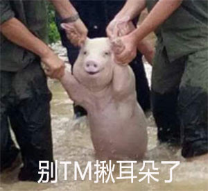笑得像个200斤的孩子表情包(笑得像个200斤的孩子表情图片) 