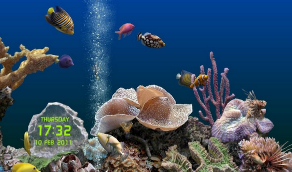 Marine Aquarium3(热带鱼水族箱屏幕保护程序)V3.3.6042 正式版