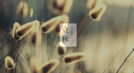 2017唯美立秋图片(立秋图片合集) 高清版