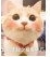 Bobi小萌猫表情包(Bobi小萌猫搞笑图片)V2017 高清版