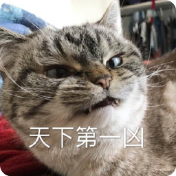超凶Loki猫表情包(超凶Loki猫恶搞表情合集) 中文版