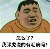 怎么了我胖虎说的有毛病吗表情(怎么了我胖虎说的有毛病吗恶搞表情) 去广告版