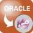 Oracle转Access软件(OracleToAccess)V3.6 最新版