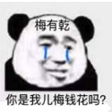熊猫人梅有乾表情包下载(没有钱表情包)完整版