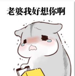 老婆你别走啊仓鼠道歉表情包下载(仓鼠老公版)V1.0 高清无水印版