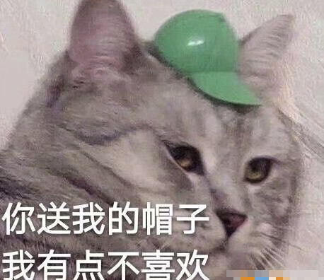 你送我的帽子我有点不喜欢表情包下载(带字搞笑无水印表情包)V1.0 免费版