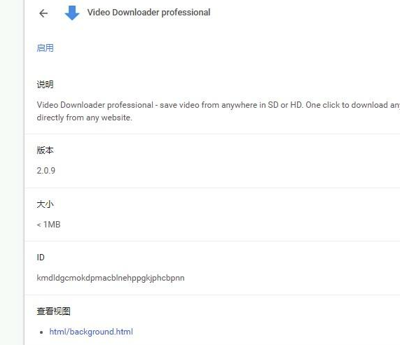 Video Downloader professional插件下载(网页视频下载助手)V2.0.10 绿色版