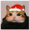 圣诞帽情侣头像(情侣圣诞帽头像合集)V1.0 最新版