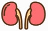 人体内脏图标(人体内脏图标素材) 中文版
