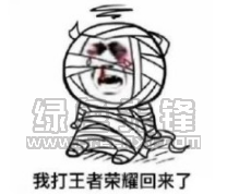 王者荣耀游戏动漫二次元搞笑表情包(王者荣耀游戏动漫二次元表情图片) 免费版