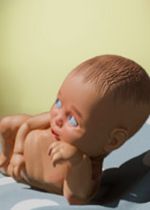 老妈模拟器LMAO汉化补丁(老妈模拟器中文语言包)V1.1 绿色版