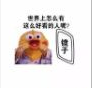 每天照镜子的我表情包(每天照镜子的我可爱表情) 无水印版