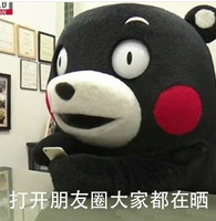 熊本熊朋友圈日常表情包(朋友圈日常可爱表情组图) 无水印版
