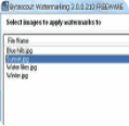 Bytescout Watermarking(图片添加水印软件)v3.1 绿色最新版