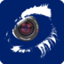 n eye(视频远程监控系统)V2.3.4 正式版