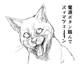 hanseishinai猫表情包(hanseishinai猫可爱表情) 最新版
