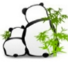 可爱熊猫图标(可爱熊猫图标下载) 免费版