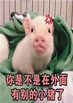 你是不是在外面有别的猪了表情(蠢萌你是不是在外面有别的猪了表情素材包) 高清版