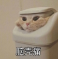 积极废人表情包(积极废人图片) 完整版
