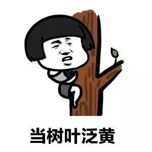 抖音当天气秋凉当树叶泛黄表情包(当天气秋凉当树叶泛黄图片) 高清版