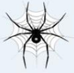 1799蜘蛛池(网络推广引蜘蛛软件)V1.1 